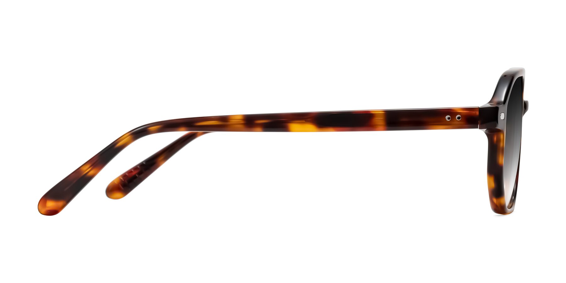Side of Aguilar in Tortoise with Gray Gradient Lenses