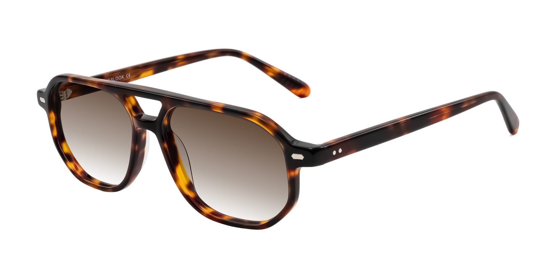 Angle of Aguilar in Tortoise with Brown Gradient Lenses