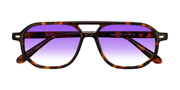 Front of Aguilar in Tortoise