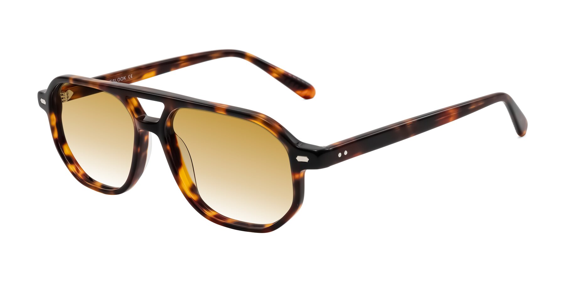 Angle of Aguilar in Tortoise with Champagne Gradient Lenses