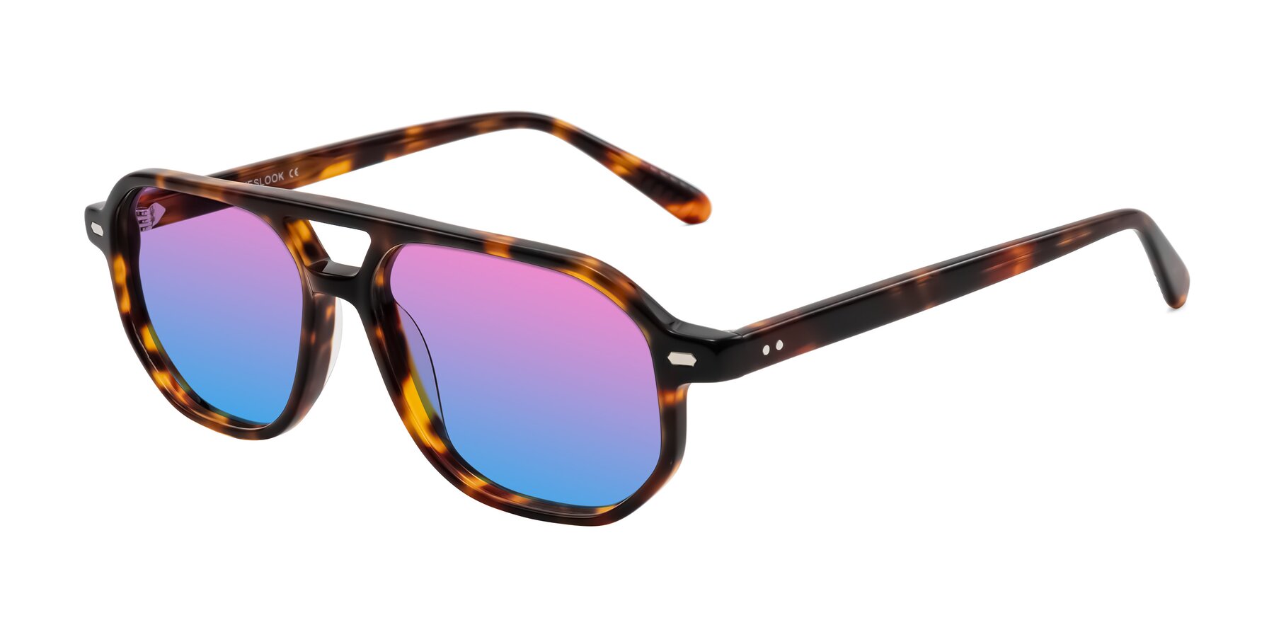 Angle of Aguilar in Tortoise with Pink / Blue Gradient Lenses
