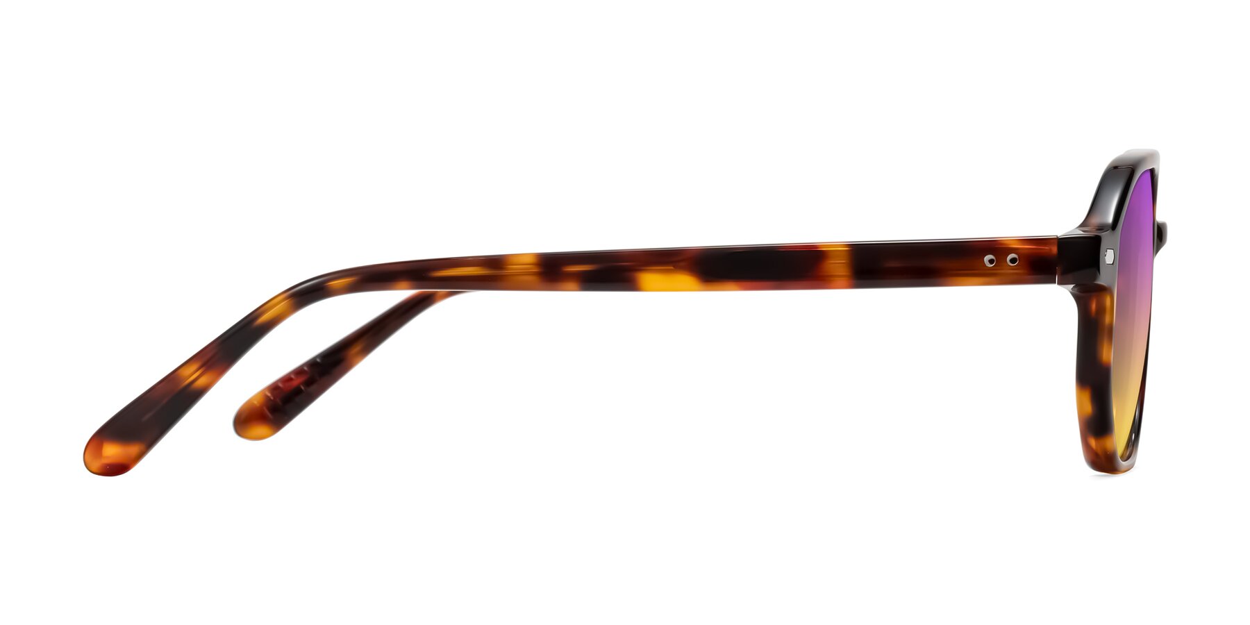 Side of Aguilar in Tortoise with Purple / Yellow Gradient Lenses