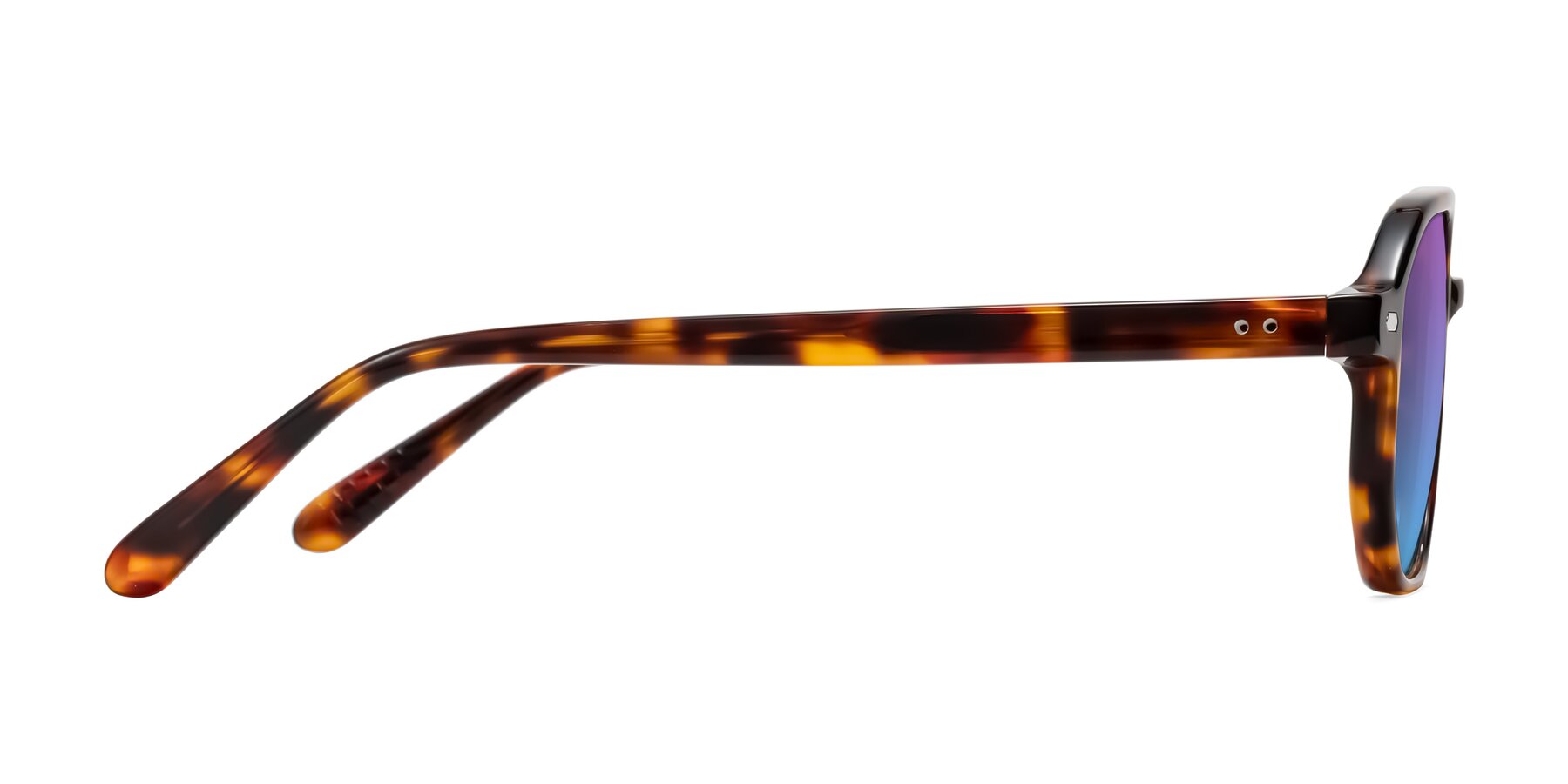 Side of Aguilar in Tortoise with Purple / Blue Gradient Lenses
