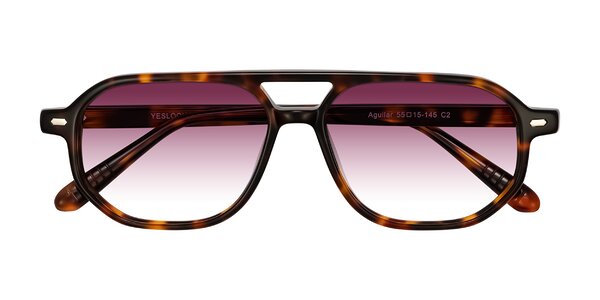 Front of Aguilar in Tortoise