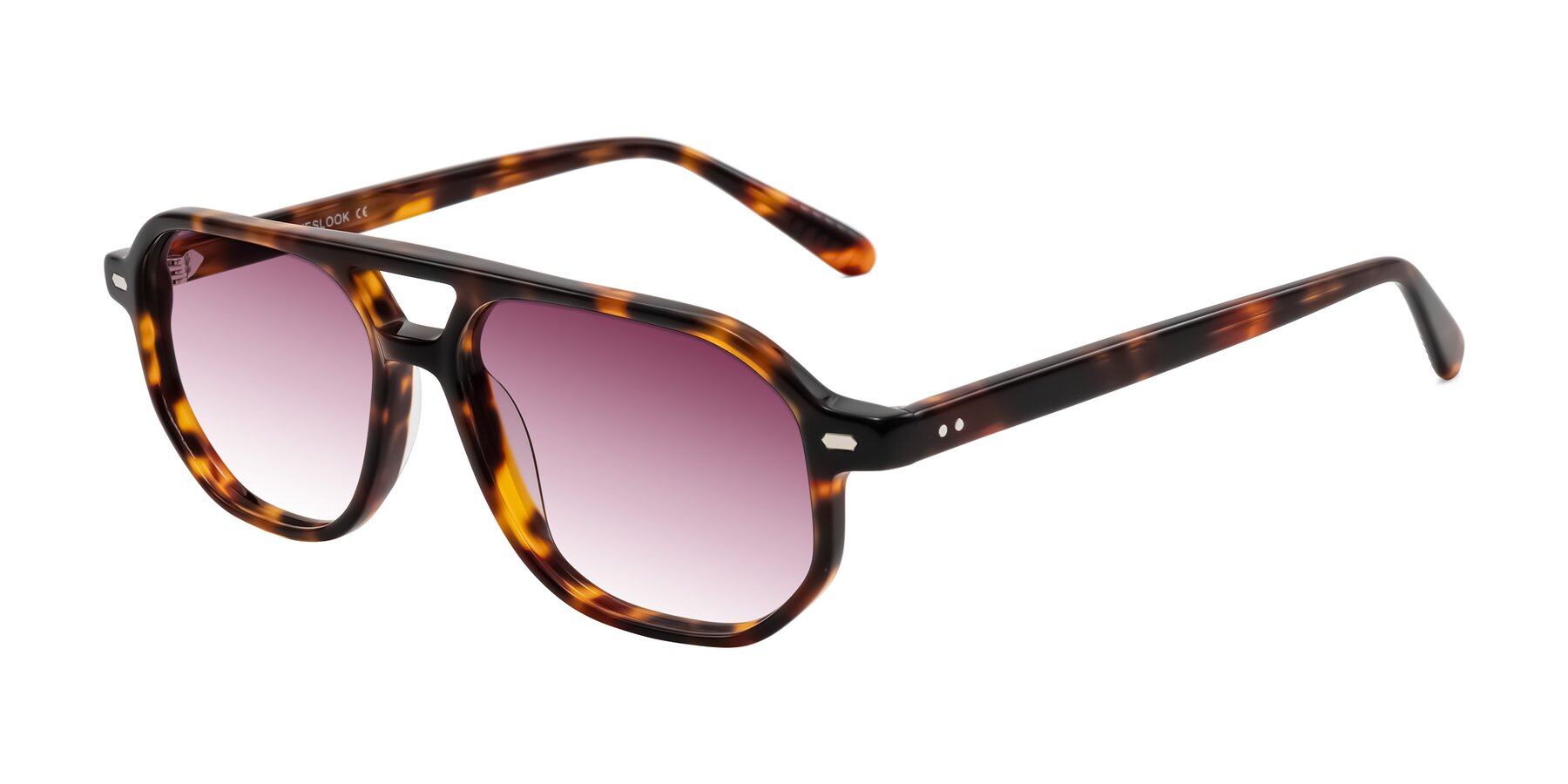 Angle of Aguilar in Tortoise with Wine Gradient Lenses