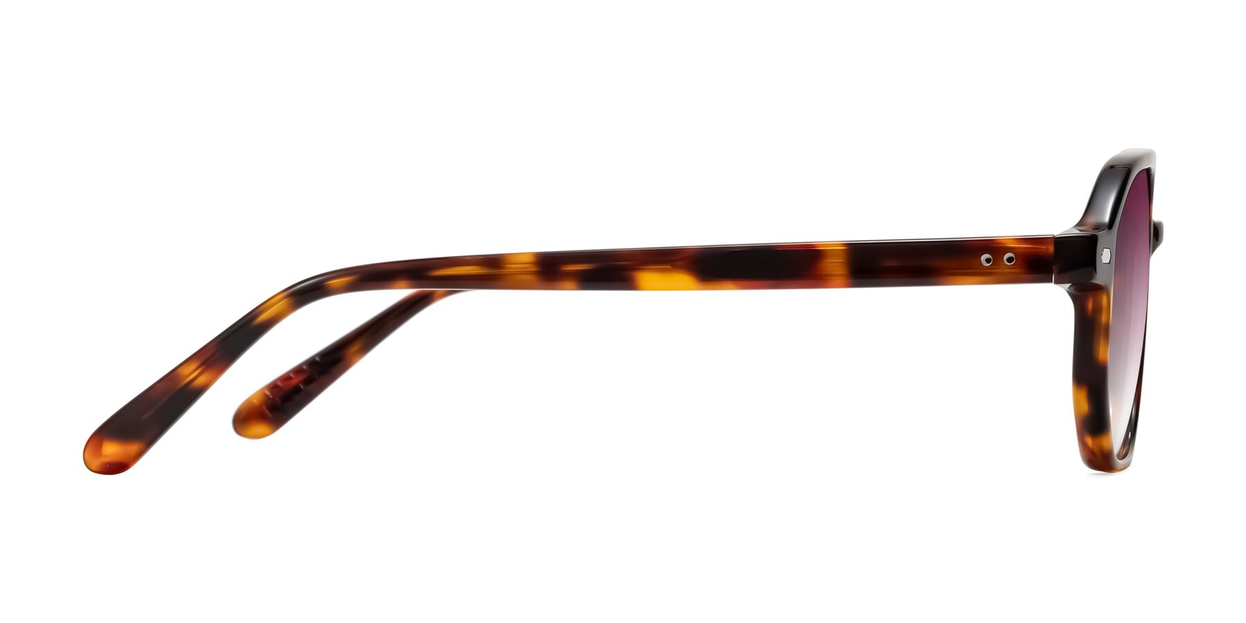 Side of Aguilar in Tortoise with Wine Gradient Lenses