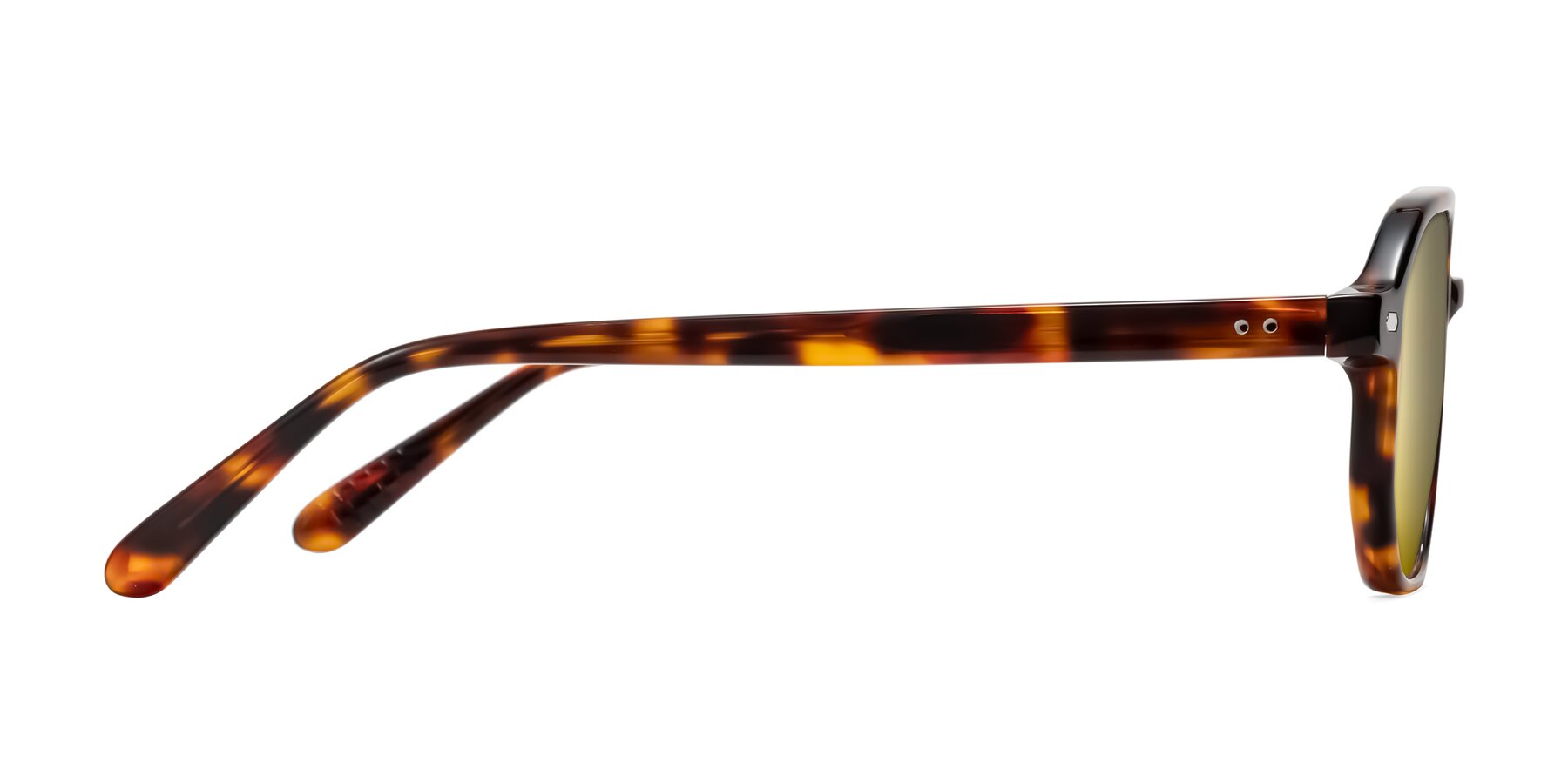 Side of Aguilar in Tortoise with Gold Mirrored Lenses