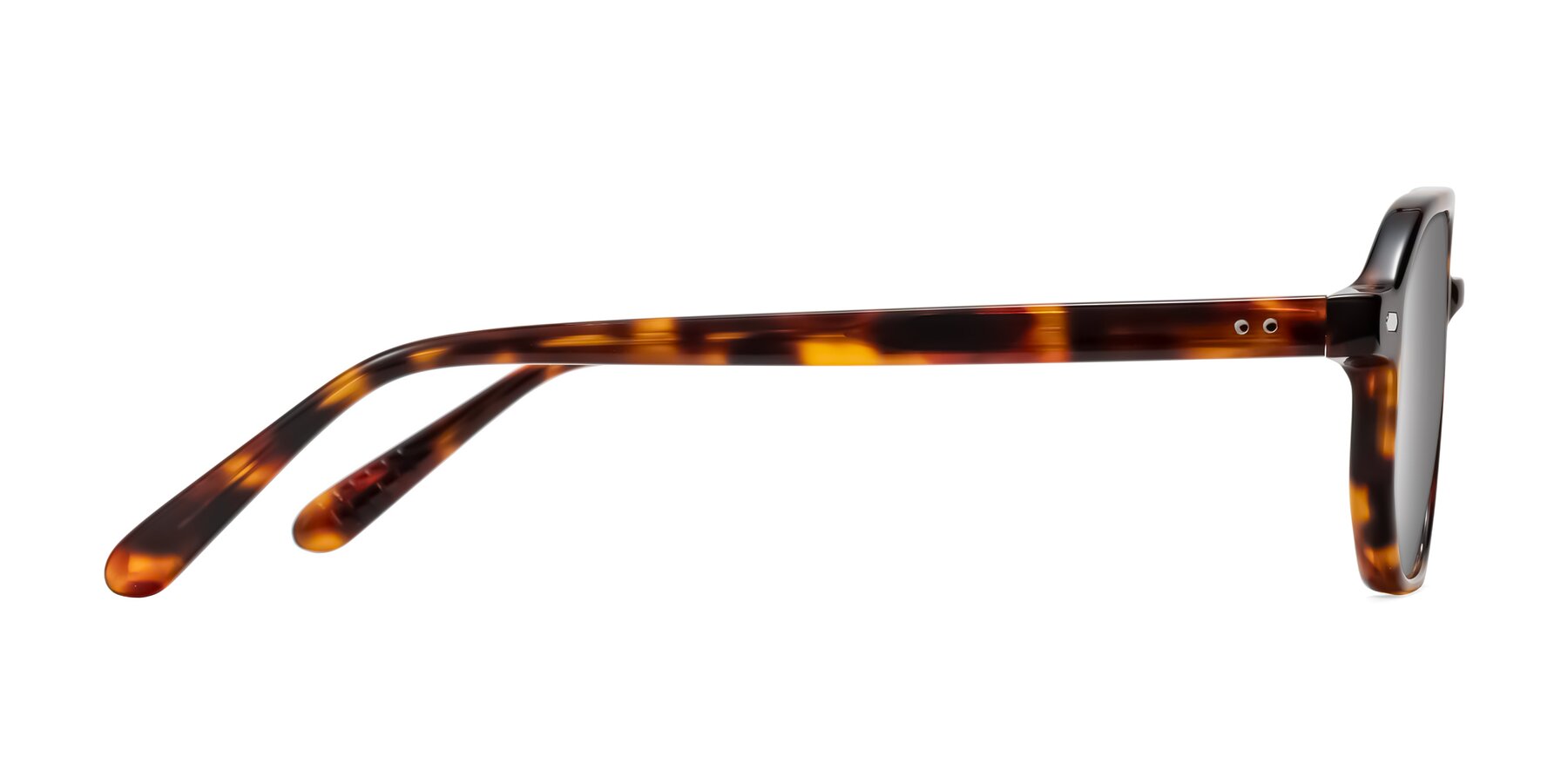 Side of Aguilar in Tortoise with Silver Mirrored Lenses