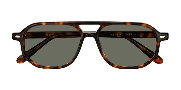 Front of Aguilar in Tortoise