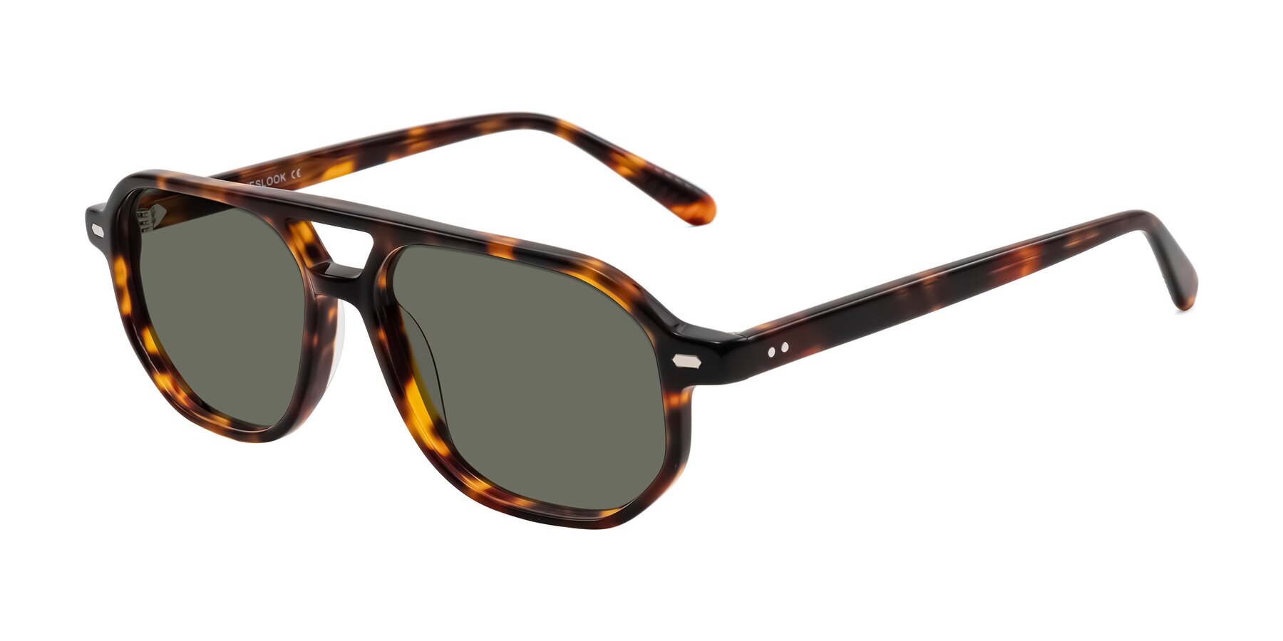 Angle of Aguilar in Tortoise with Gray Polarized Lenses