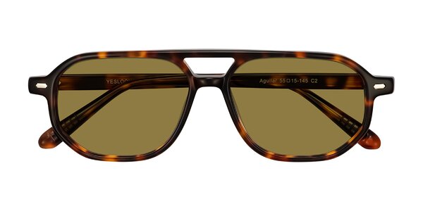 Front of Aguilar in Tortoise