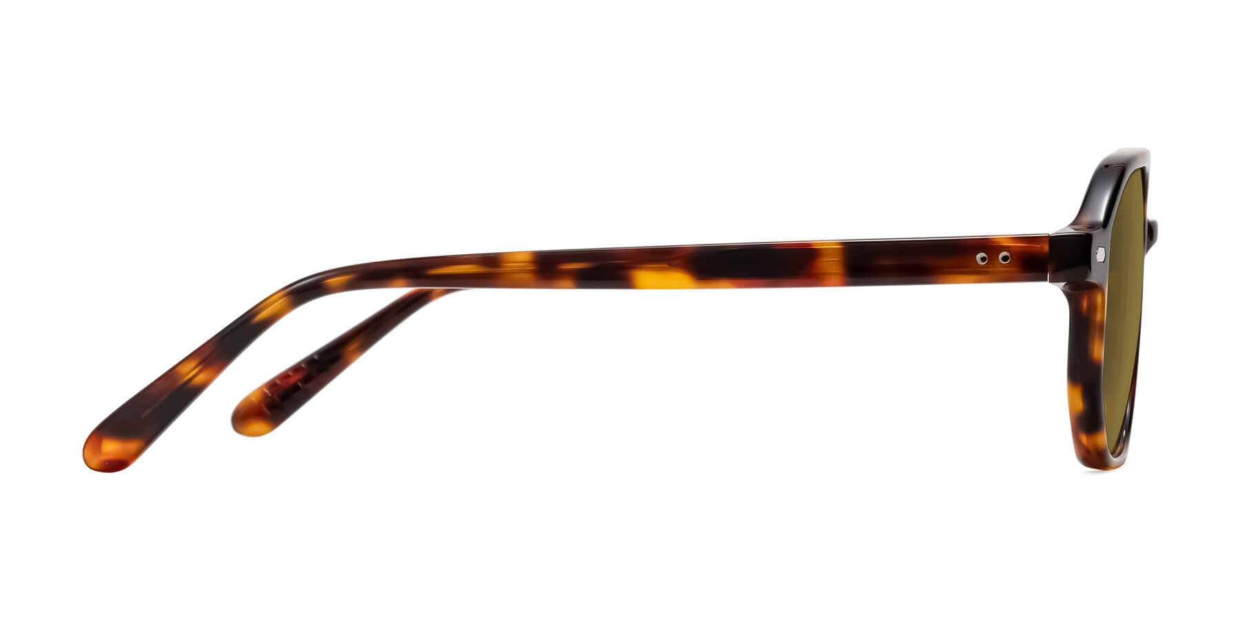Side of Aguilar in Tortoise with Brown Polarized Lenses