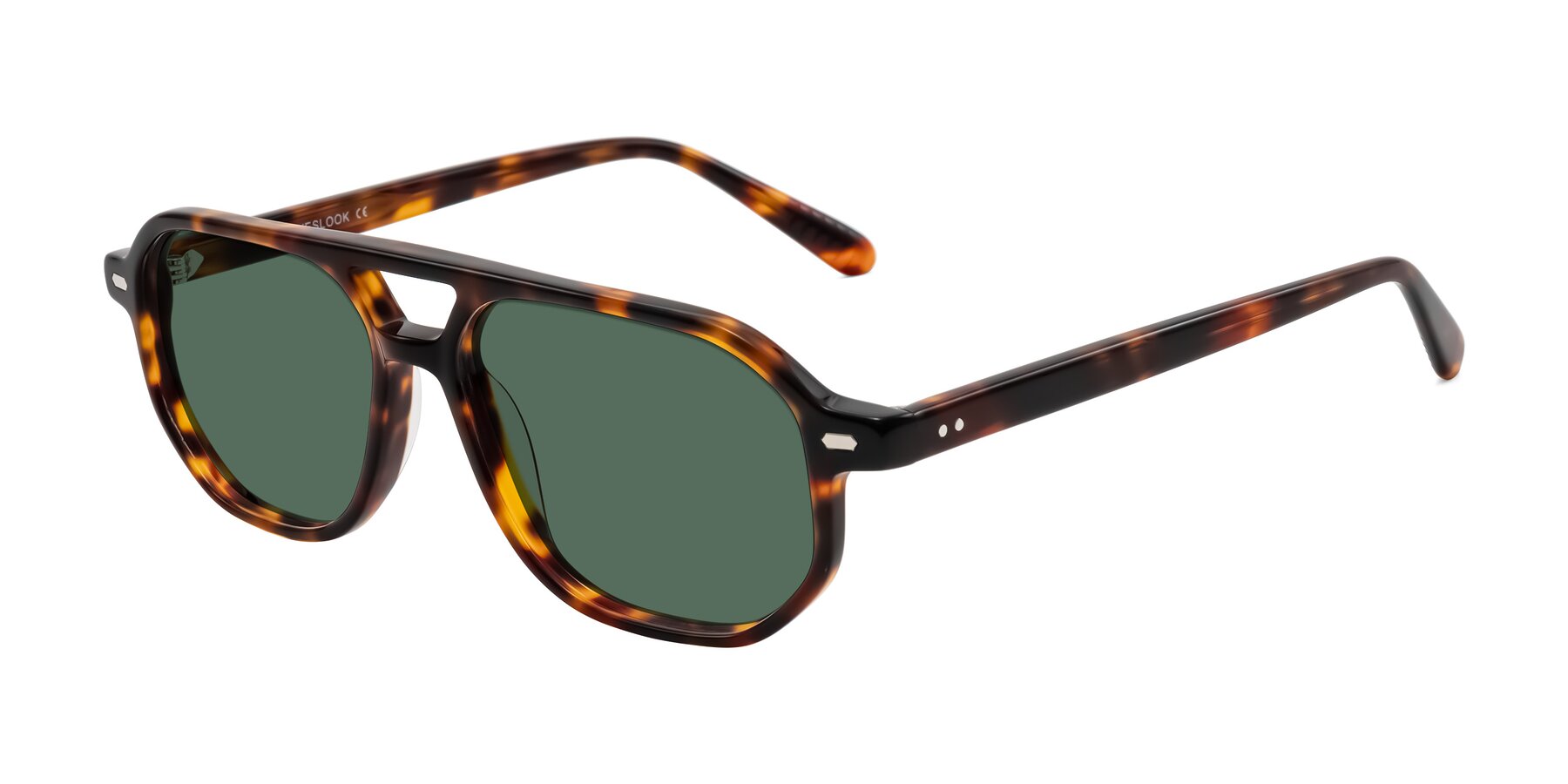 Angle of Aguilar in Tortoise with Green Polarized Lenses