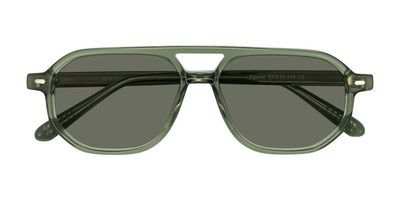 Aguilar - Transparent Green Polarized Sunglasses
