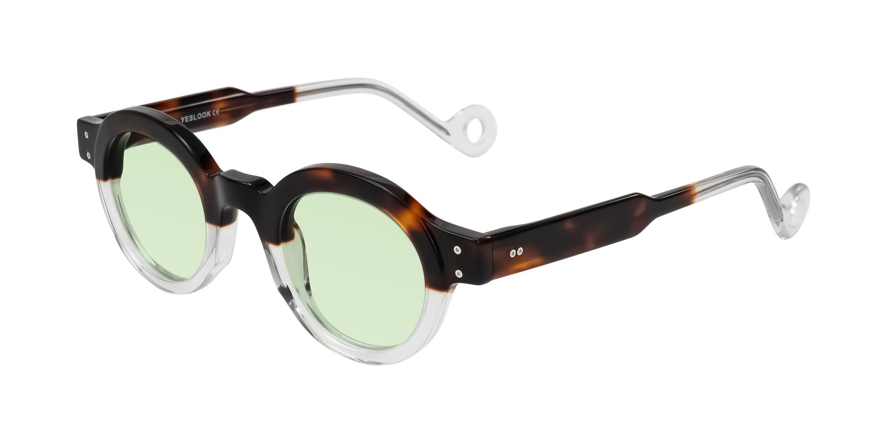 Angle of Aldo in Tortoise/Clear with Light Green Tinted Lenses