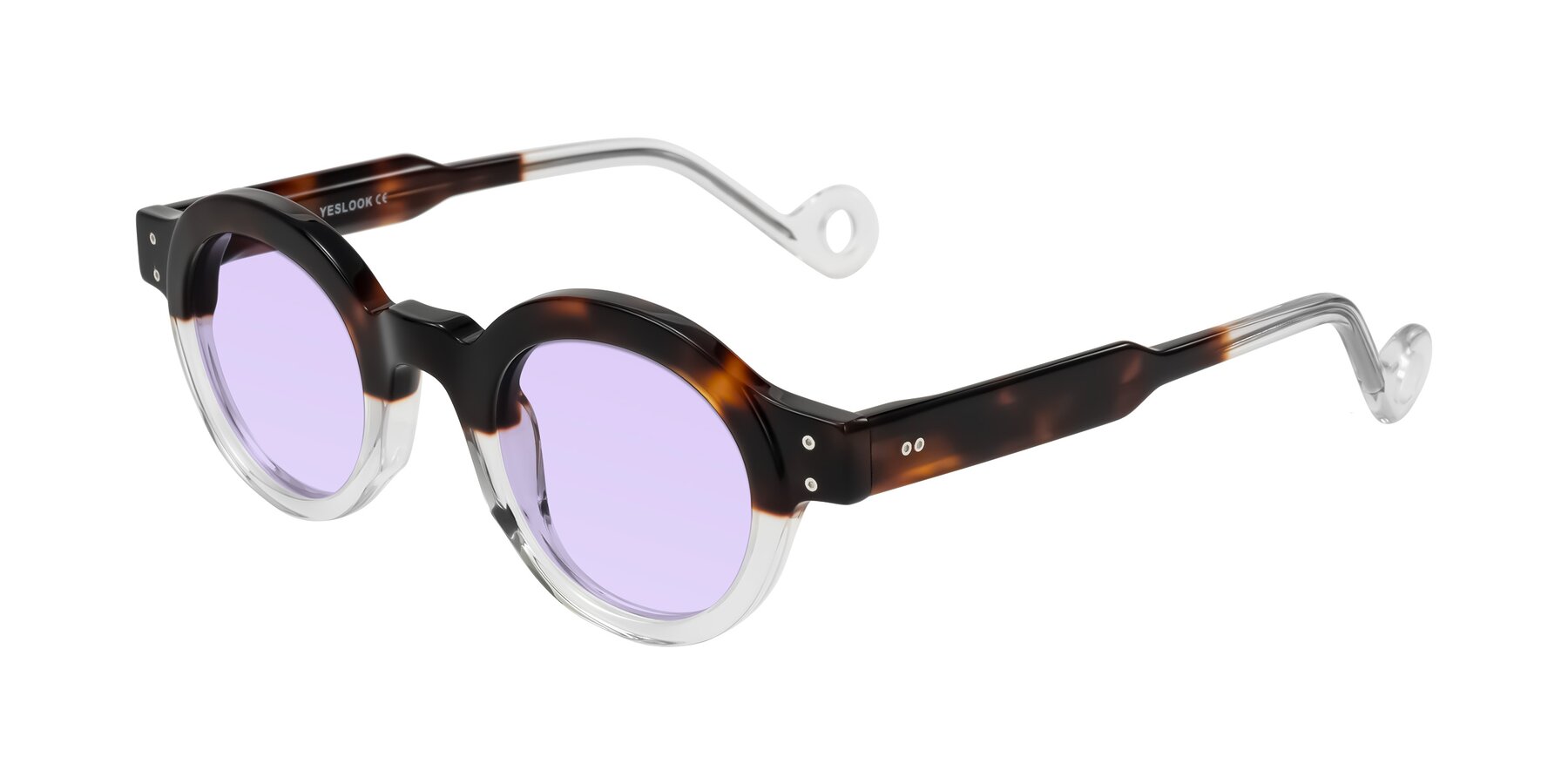 Angle of Aldo in Tortoise/Clear with Light Purple Tinted Lenses