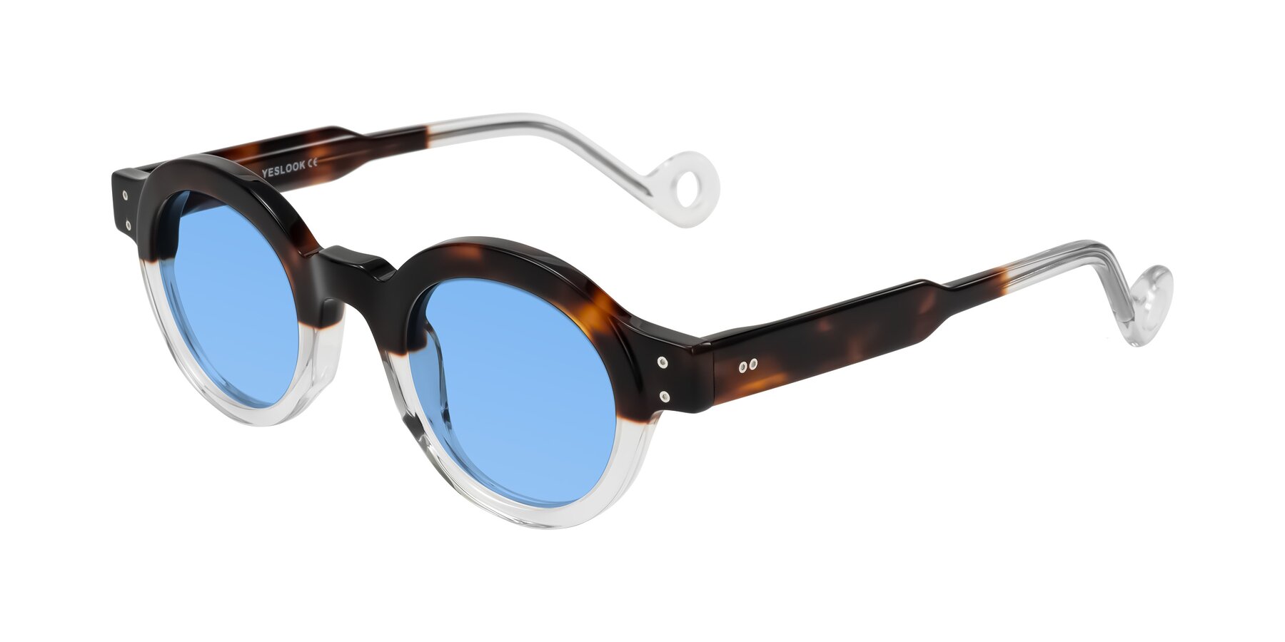 Angle of Aldo in Tortoise/Clear with Medium Blue Tinted Lenses