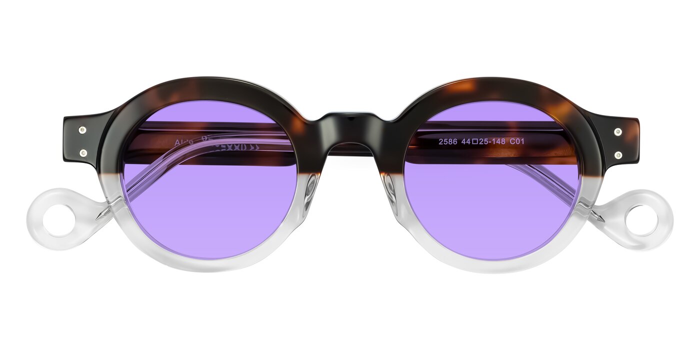 Aldo - Tortoise/Clear Tinted Sunglasses