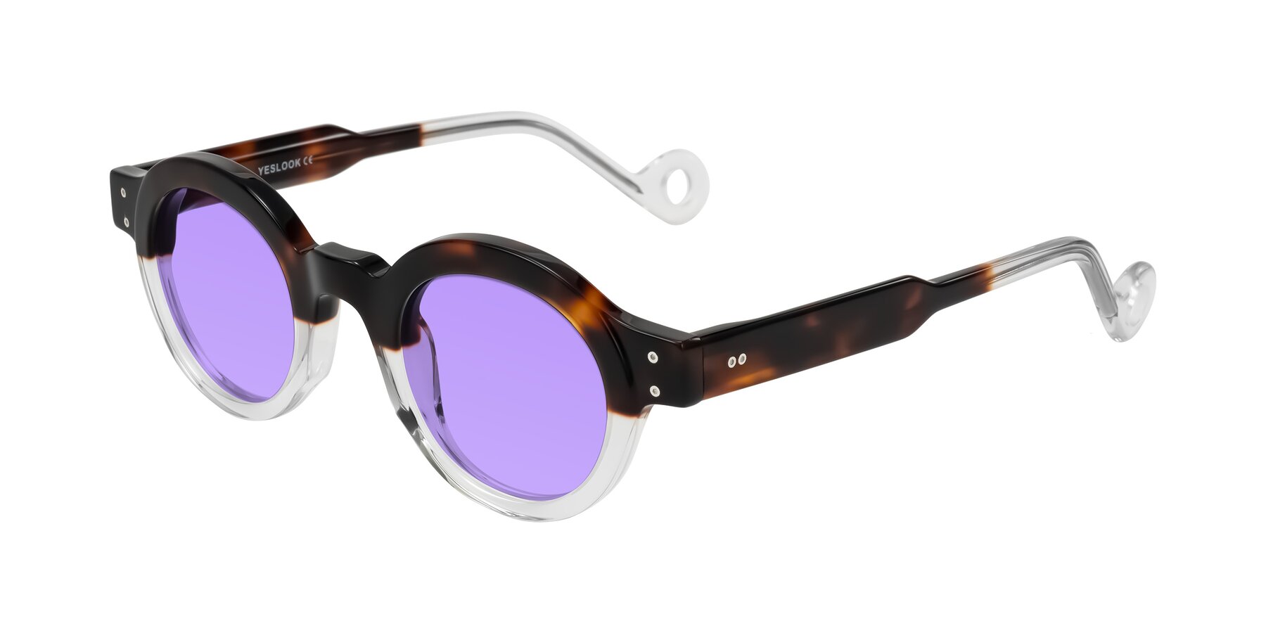 Angle of Aldo in Tortoise/Clear with Medium Purple Tinted Lenses