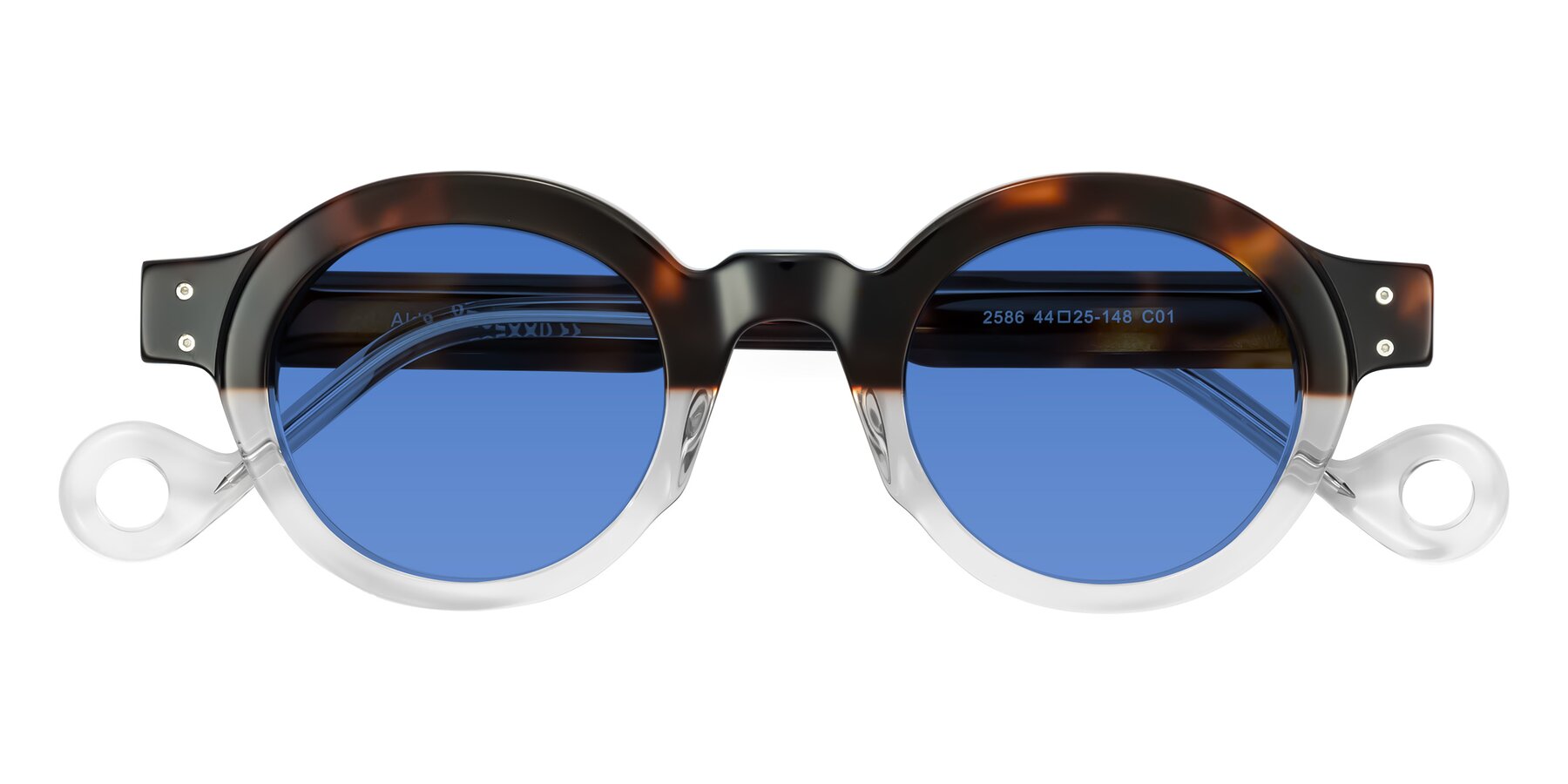 Folded Front of Aldo in Tortoise/Clear with Blue Tinted Lenses