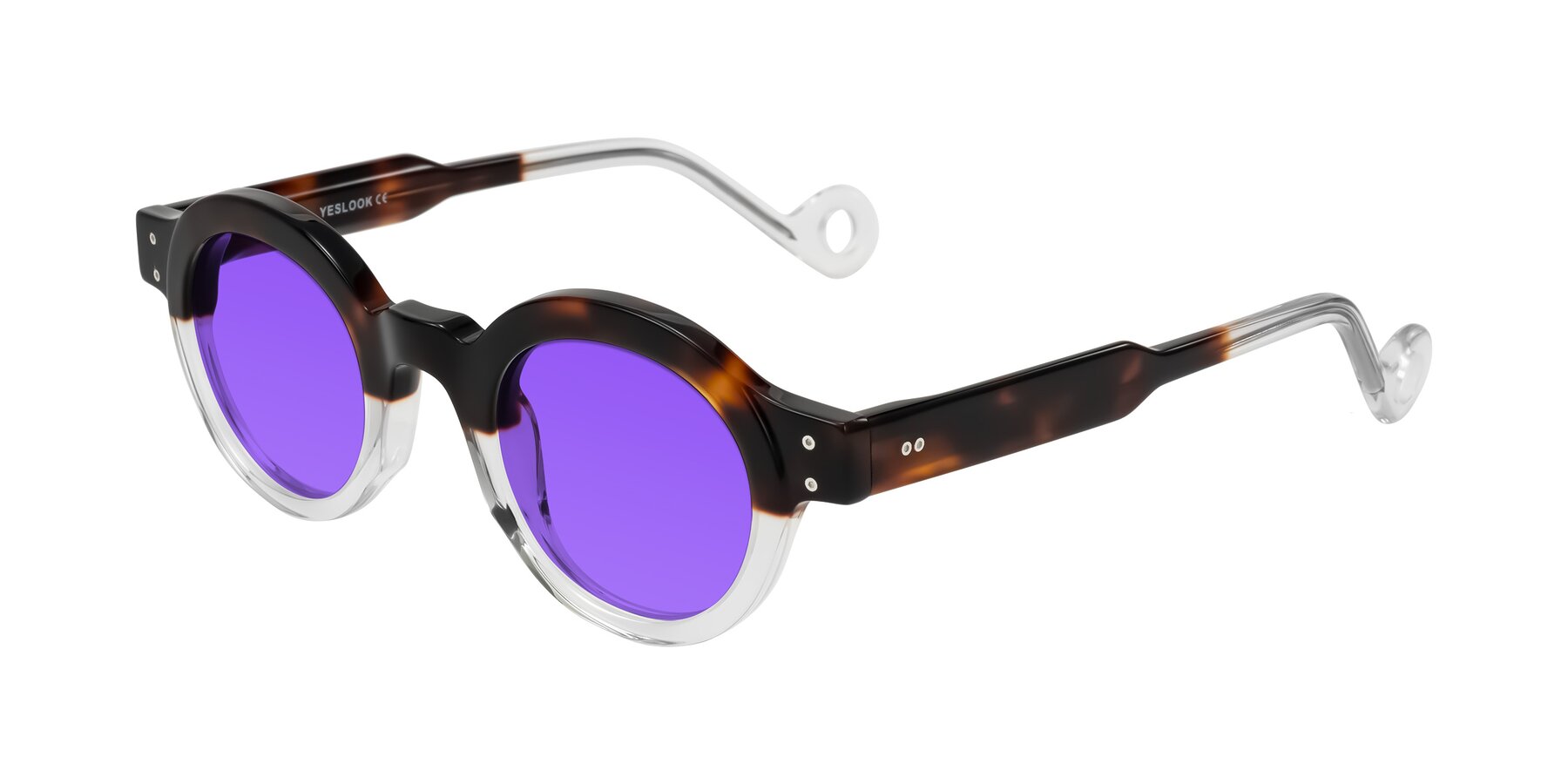 Angle of Aldo in Tortoise/Clear with Purple Tinted Lenses
