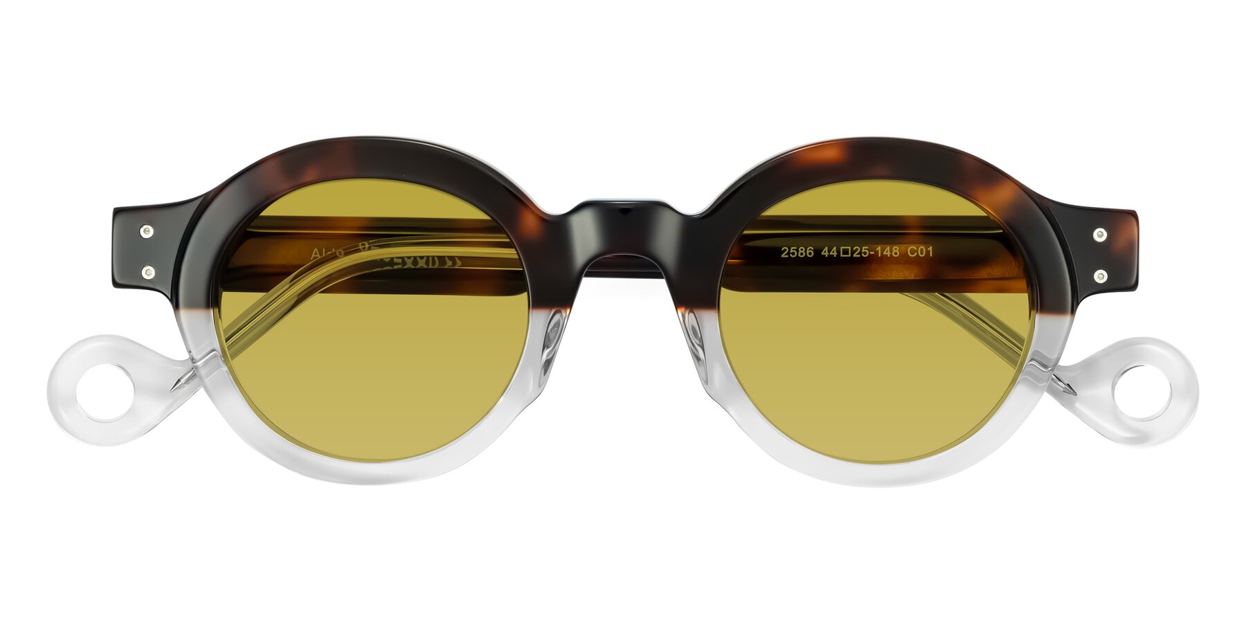 Folded Front of Aldo in Tortoise/Clear with Champagne Tinted Lenses