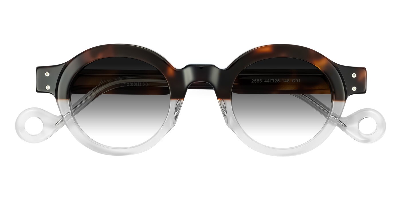 Aldo - Tortoise/Clear Gradient Sunglasses