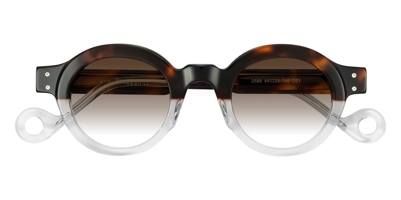 Aldo - Tortoise/Clear Gradient Sunglasses