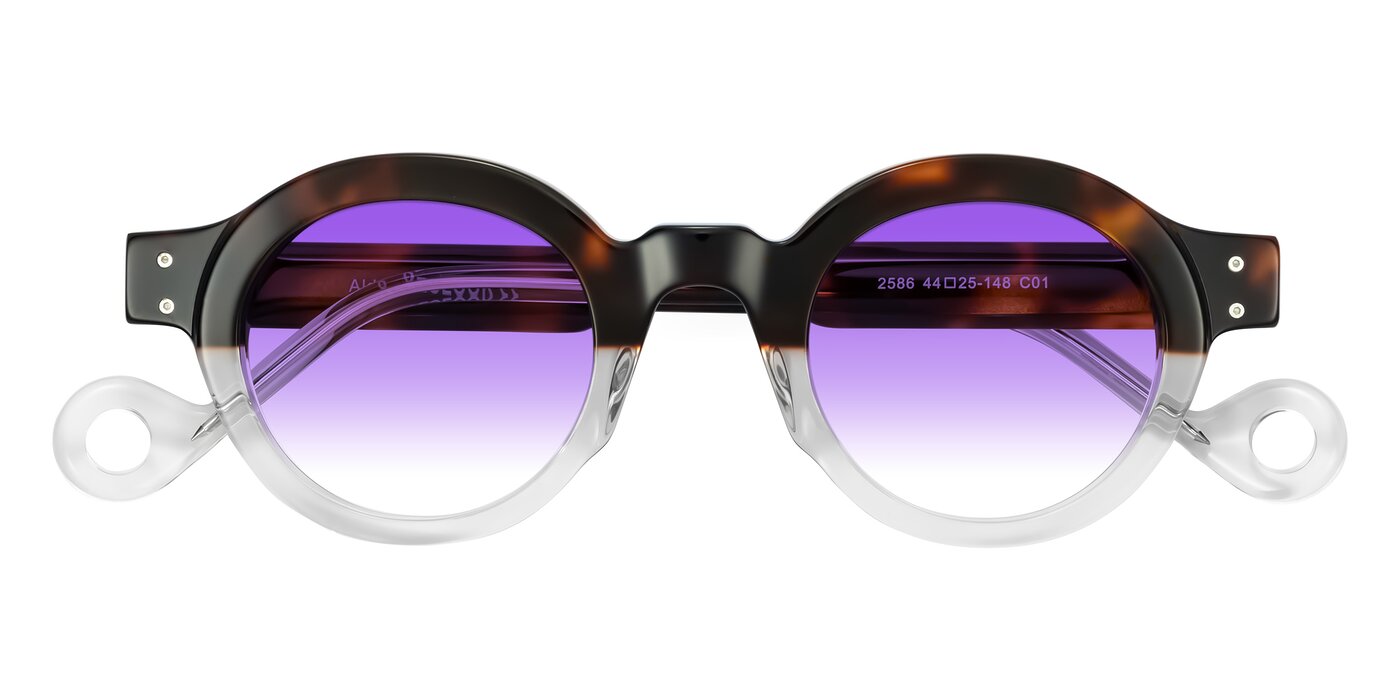 Aldo - Tortoise/Clear Gradient Sunglasses