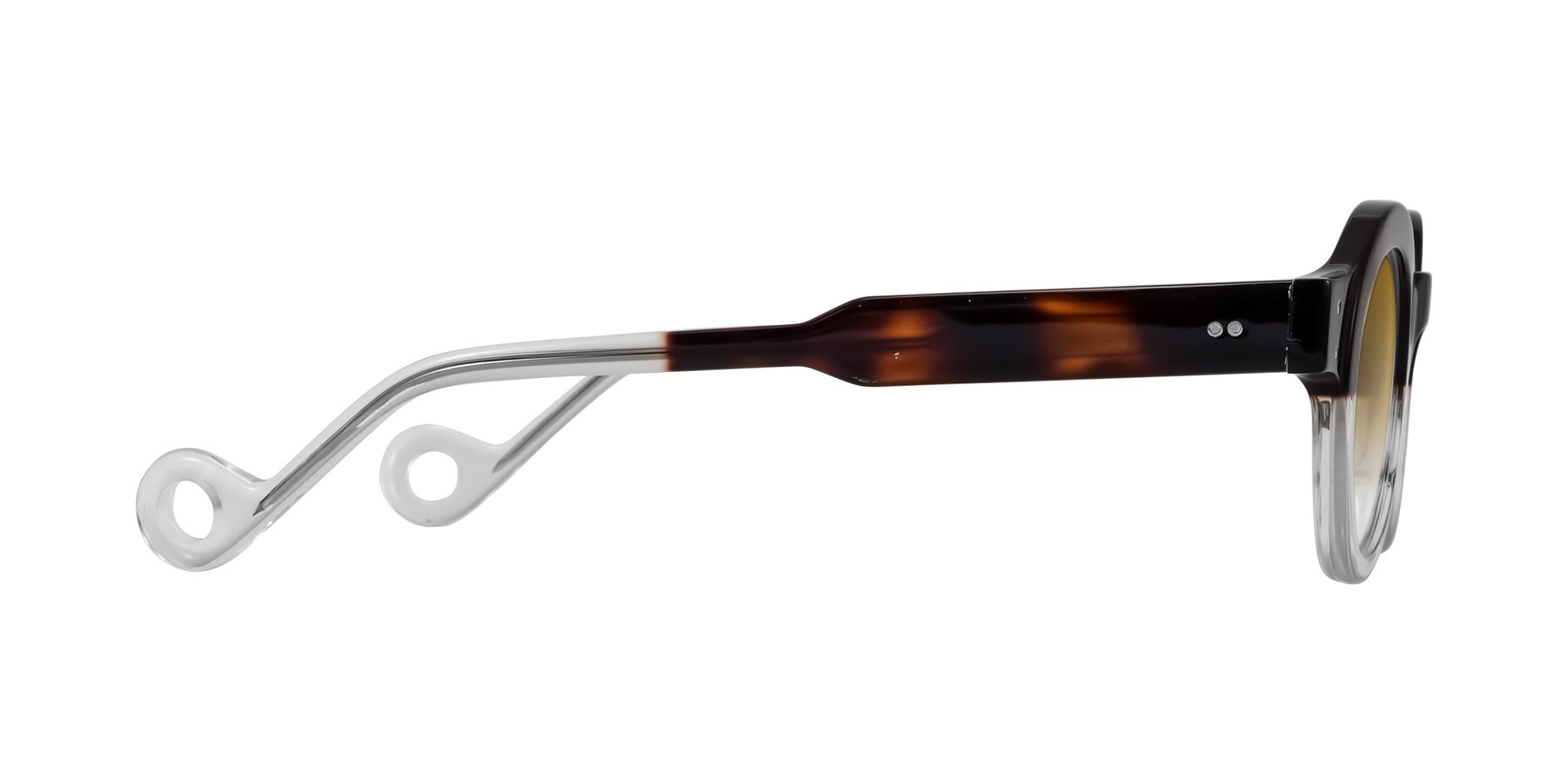 Side of Aldo in Tortoise/Clear with Champagne Gradient Lenses