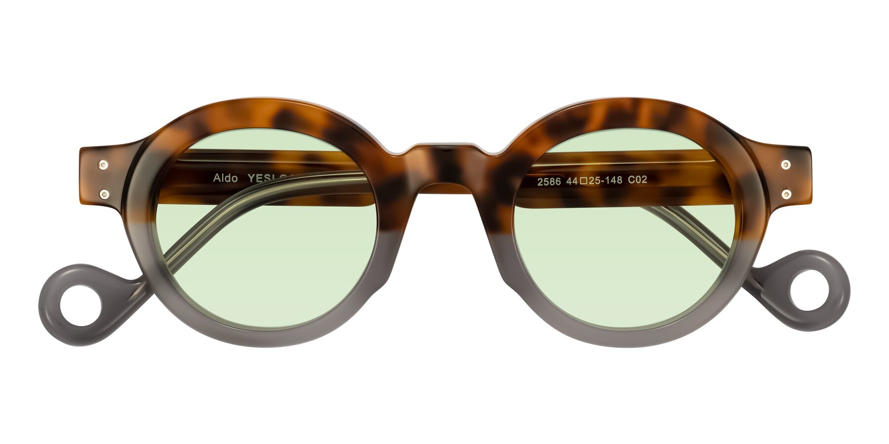 Folded Front of Aldo in Tortoise/Gray with Light Green Tinted Lenses