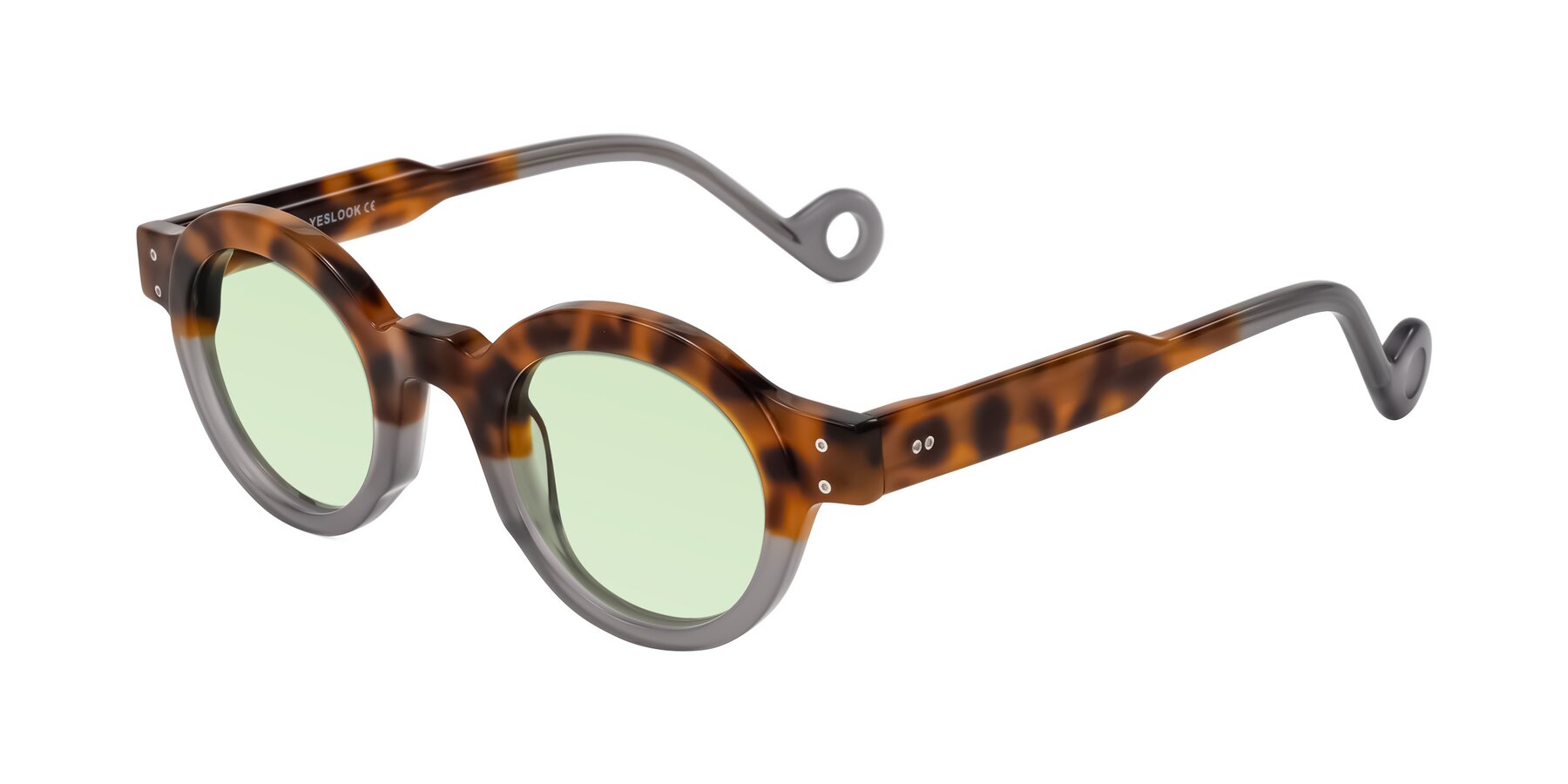 Angle of Aldo in Tortoise/Gray with Light Green Tinted Lenses