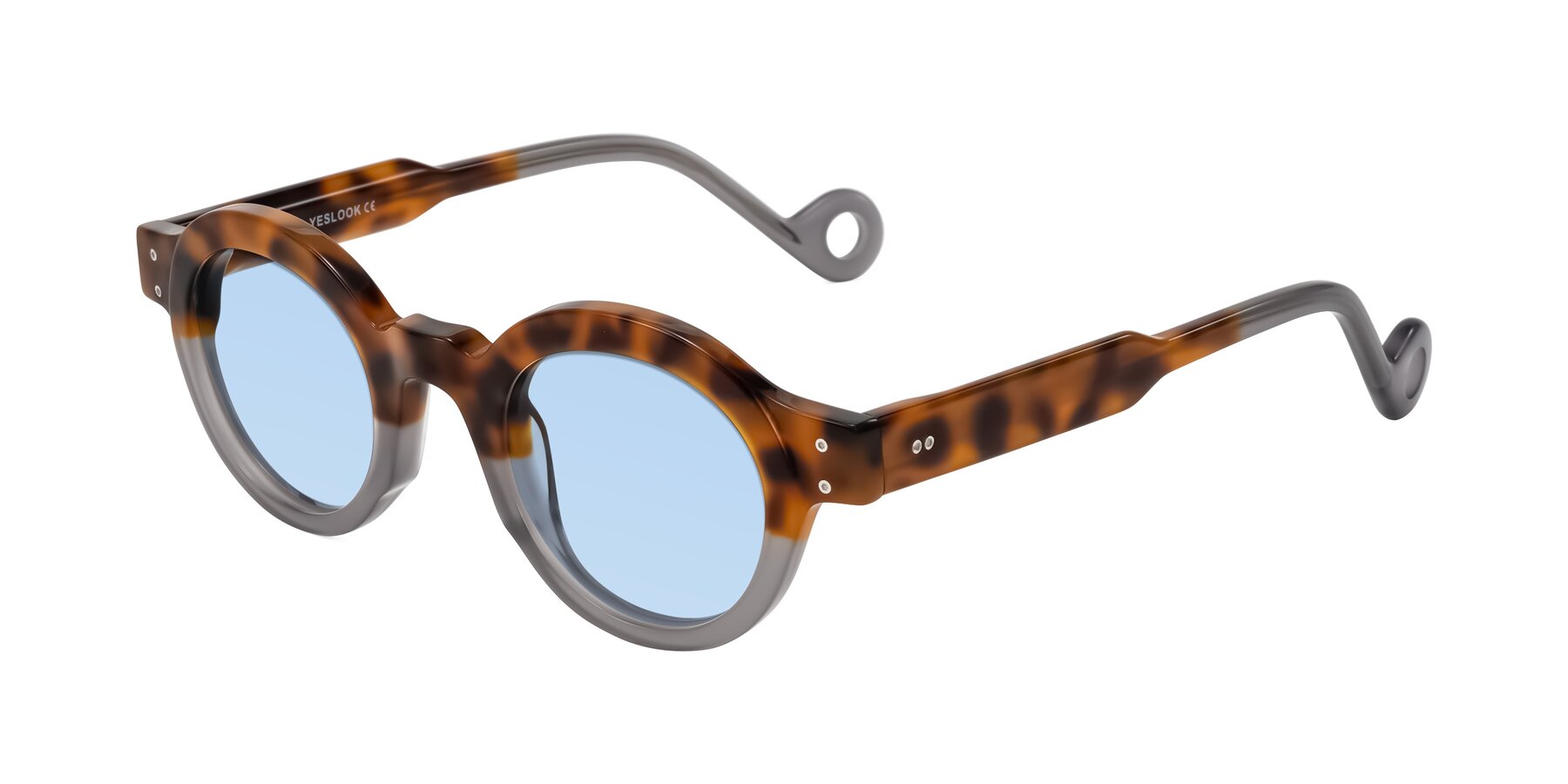Angle of Aldo in Tortoise/Gray with Light Blue Tinted Lenses