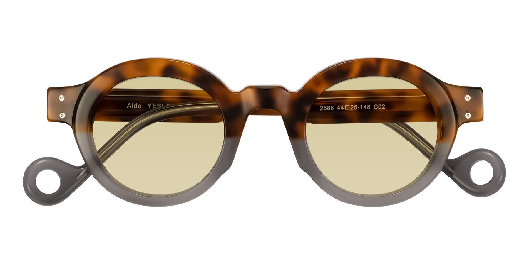 Folded Front of Aldo in Tortoise/Gray with Light Champagne Tinted Lenses