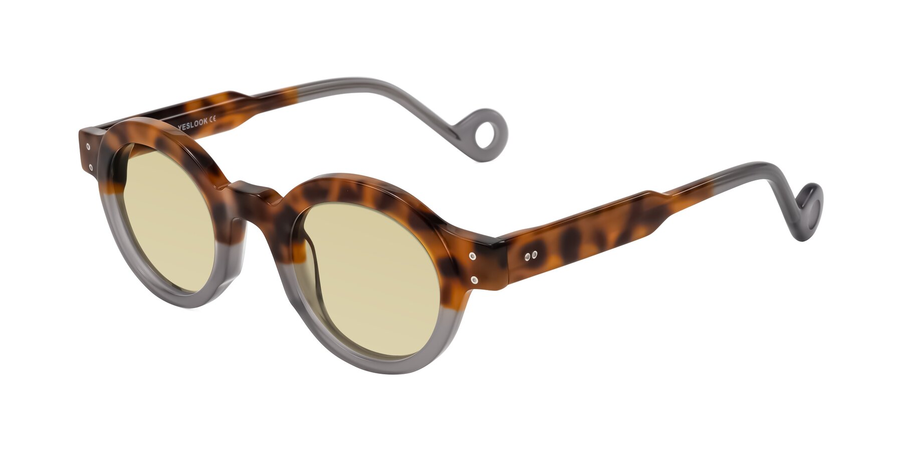 Angle of Aldo in Tortoise/Gray with Light Champagne Tinted Lenses