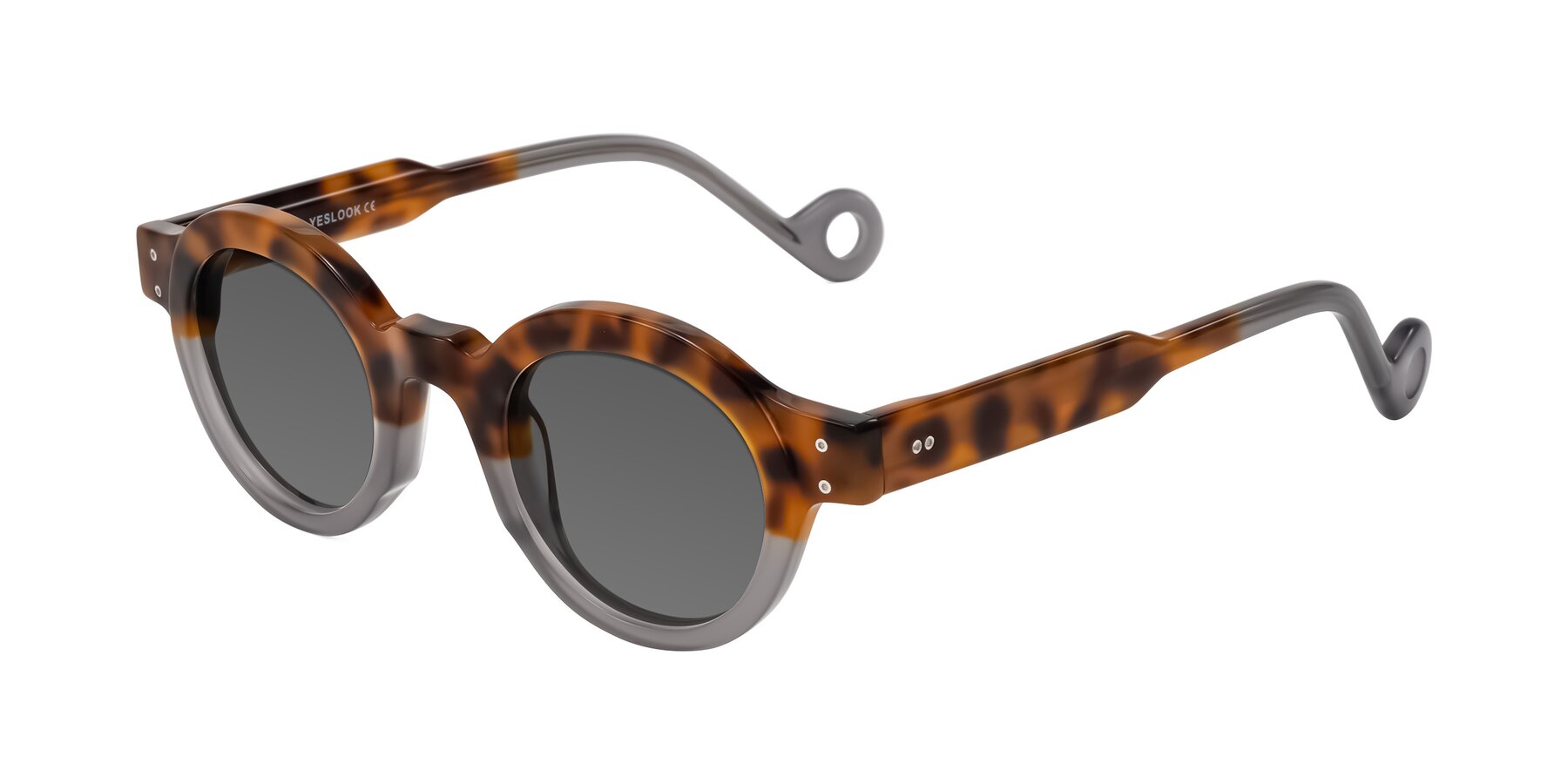 Angle of Aldo in Tortoise/Gray with Medium Gray Tinted Lenses