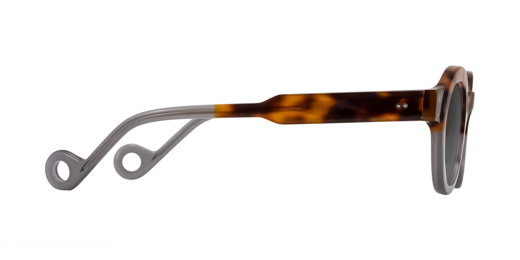 Side of Aldo in Tortoise/Gray with Medium Gray Tinted Lenses