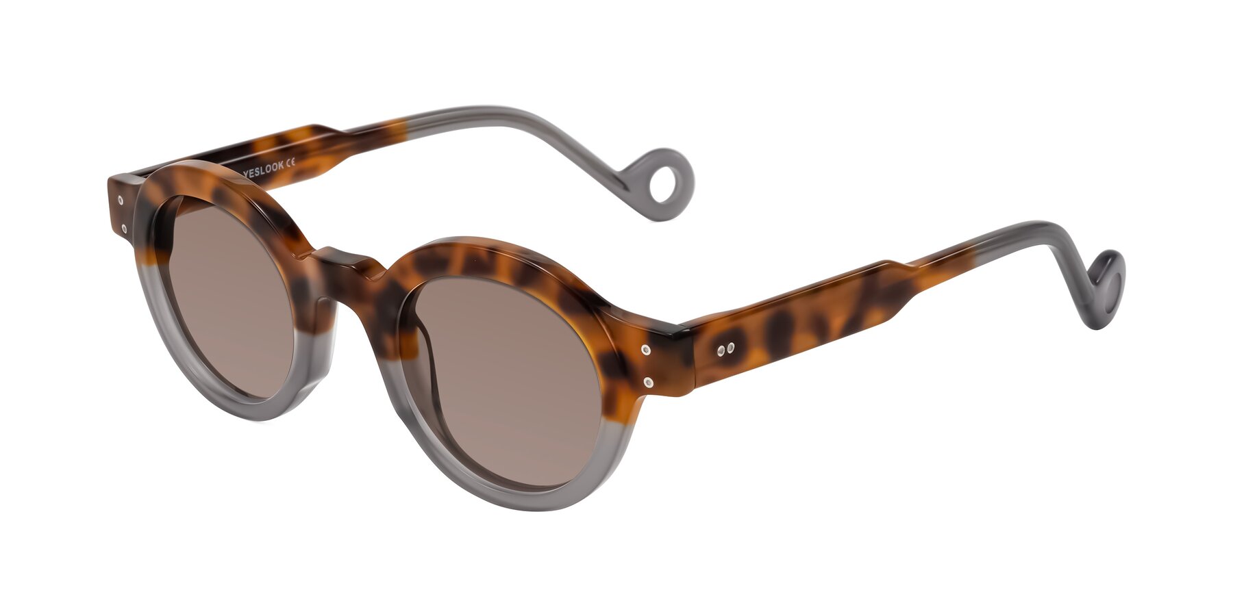 Angle of Aldo in Tortoise/Gray with Medium Brown Tinted Lenses