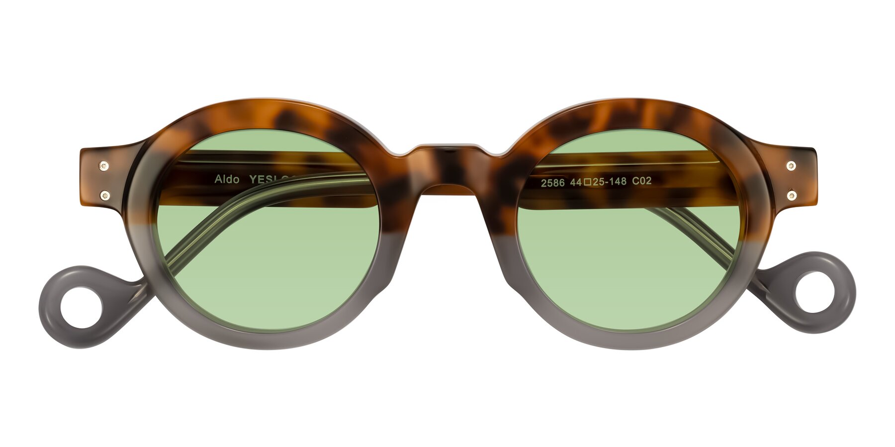 Folded Front of Aldo in Tortoise/Gray with Medium Green Tinted Lenses