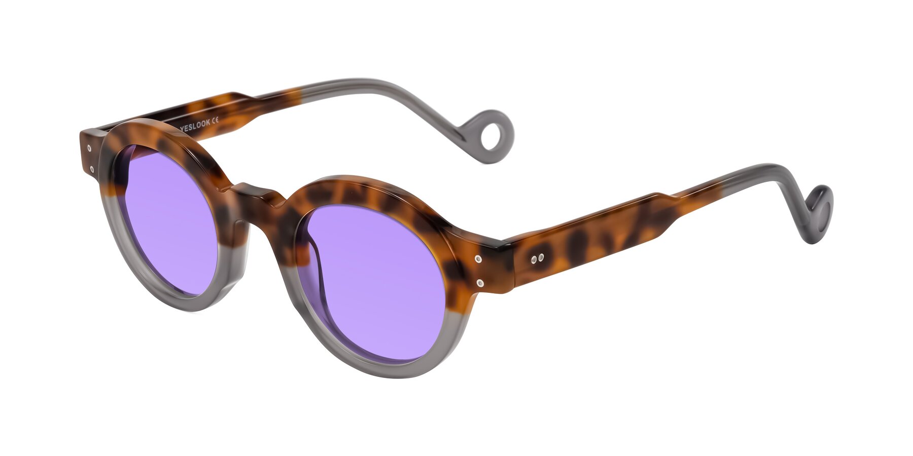 Angle of Aldo in Tortoise/Gray with Medium Purple Tinted Lenses
