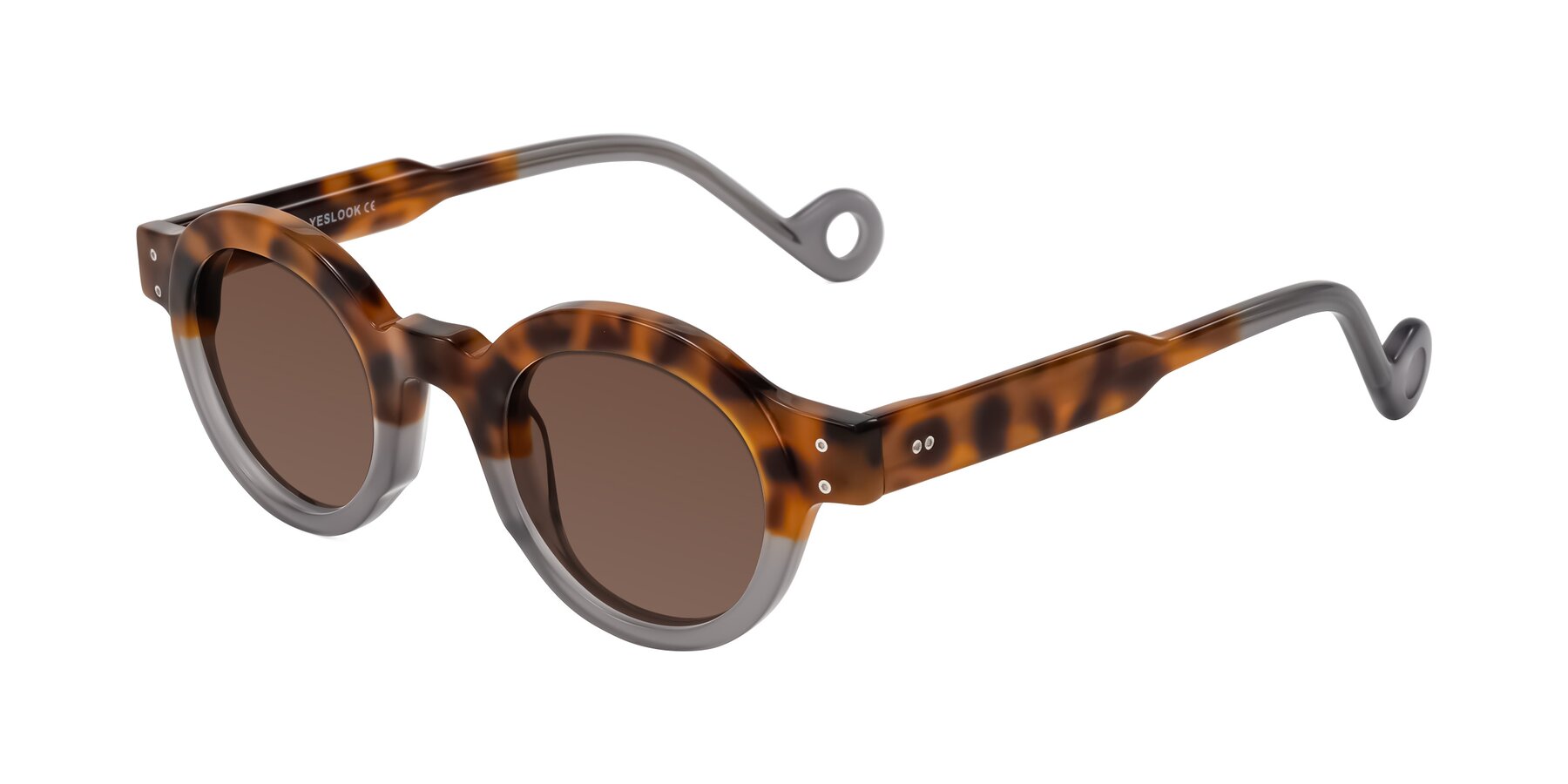 Angle of Aldo in Tortoise/Gray with Brown Tinted Lenses