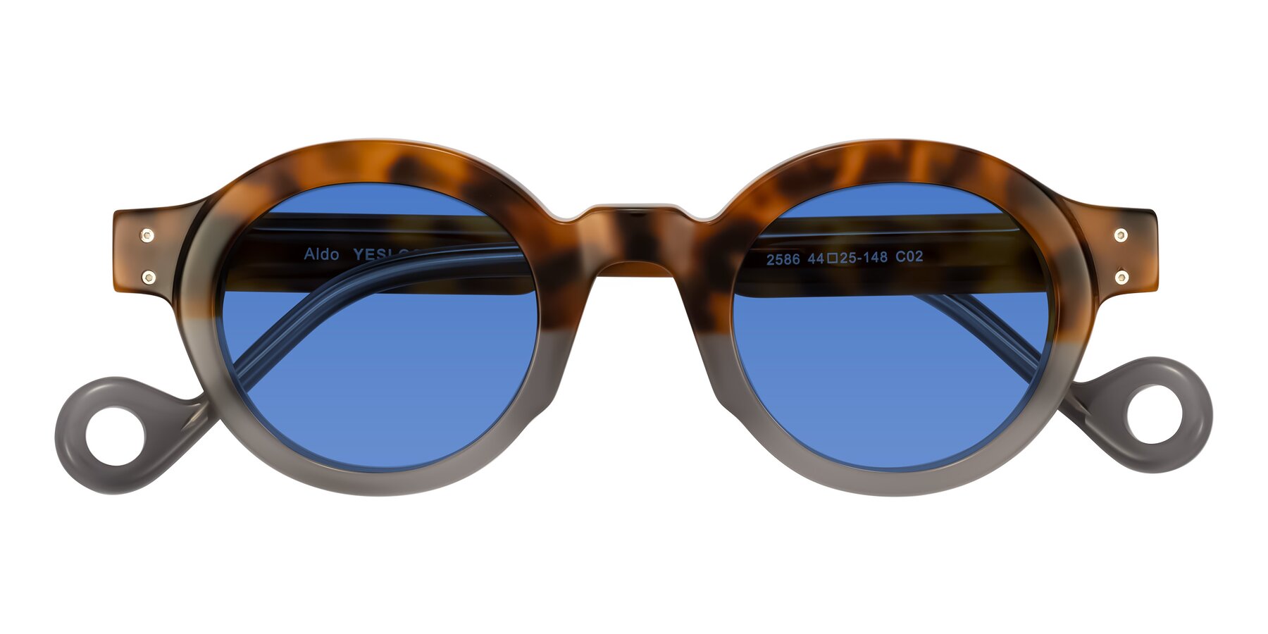 Folded Front of Aldo in Tortoise/Gray with Blue Tinted Lenses