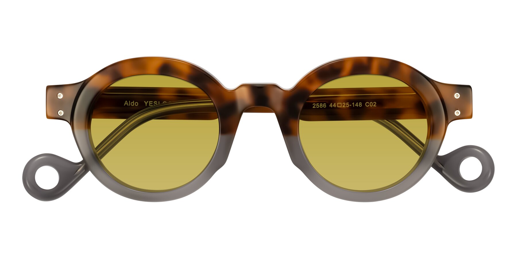 Folded Front of Aldo in Tortoise/Gray with Champagne Tinted Lenses