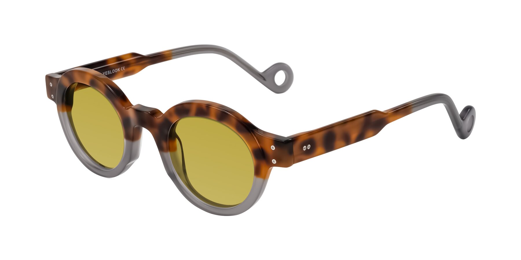 Angle of Aldo in Tortoise/Gray with Champagne Tinted Lenses