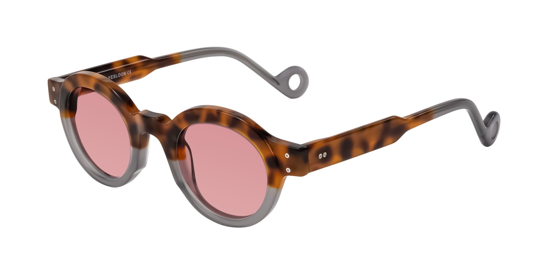 Angle of Aldo in Tortoise/Gray with Medium Garnet Tinted Lenses