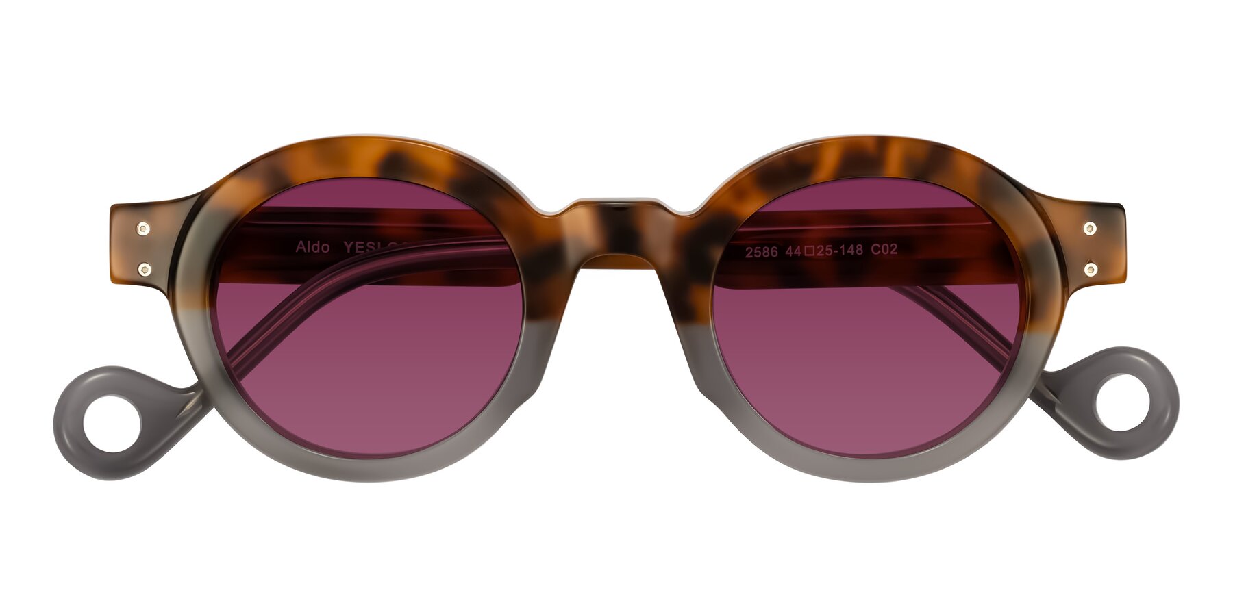 Folded Front of Aldo in Tortoise/Gray with Wine Tinted Lenses