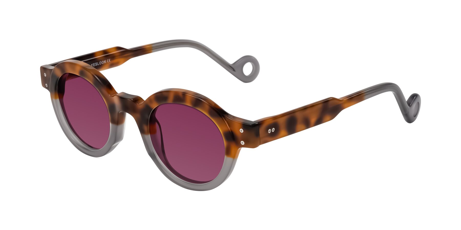 Angle of Aldo in Tortoise/Gray with Wine Tinted Lenses