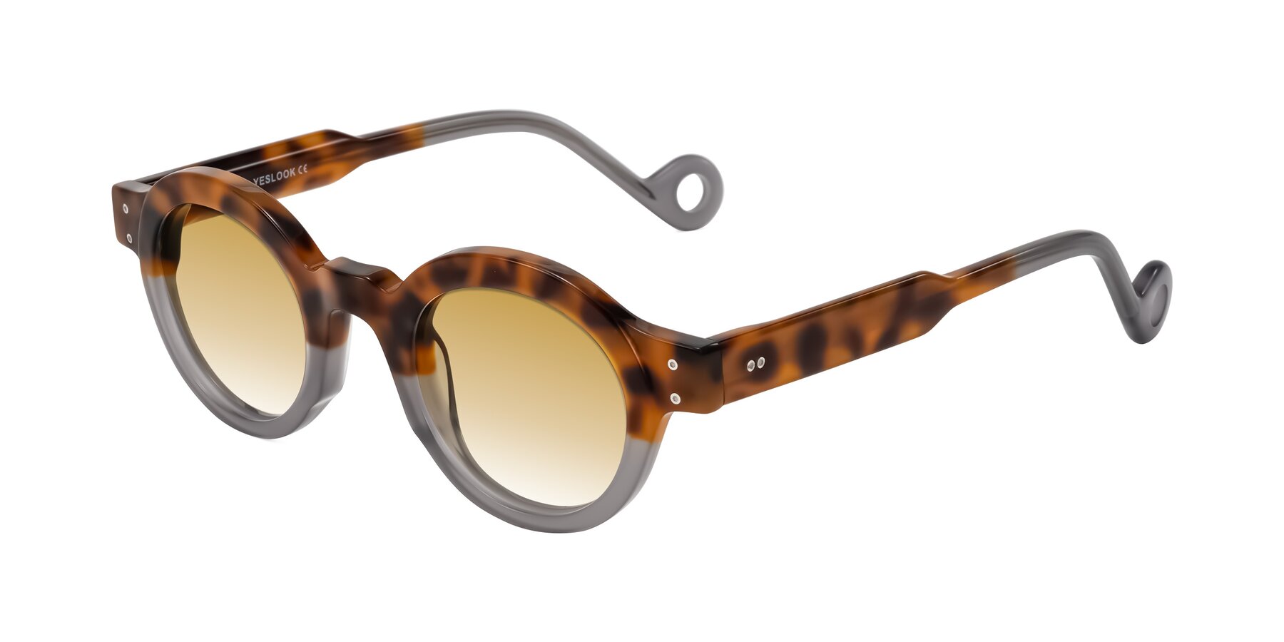 Angle of Aldo in Tortoise/Gray with Champagne Gradient Lenses