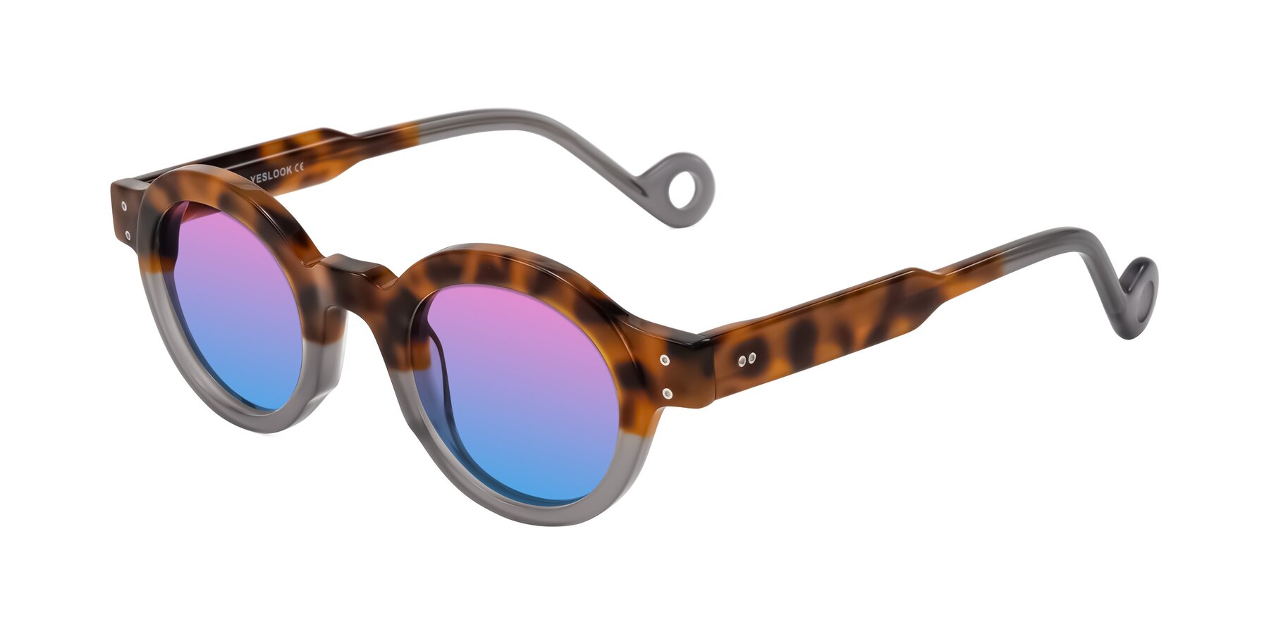 Angle of Aldo in Tortoise/Gray with Pink / Blue Gradient Lenses