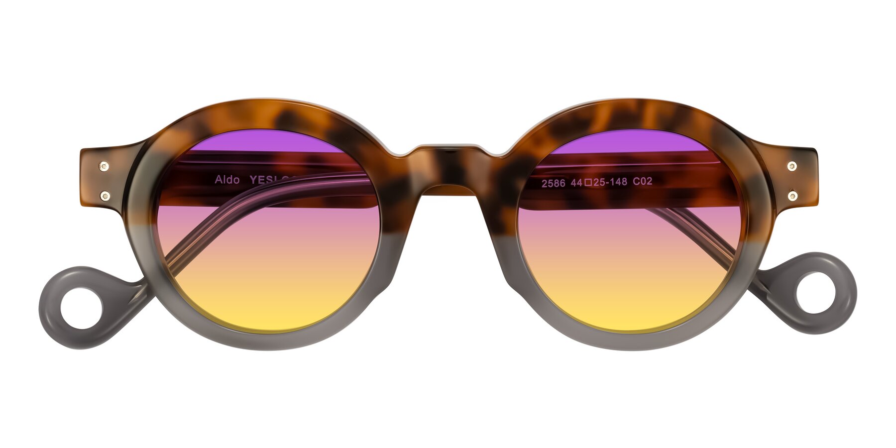 Folded Front of Aldo in Tortoise/Gray with Purple / Yellow Gradient Lenses